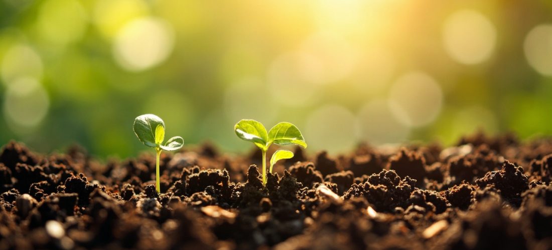 temps de dégradation des déchets dans la nature: astuces