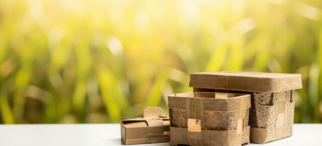 emballage durable: réduire l’empreinte co2 sans gaspiller